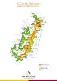 Côte de Beaune and hautes côtes de Beaune