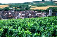 Grand Auxerrois in Burgundy