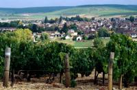 Chablis in Burgundy