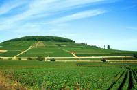 Côte de Beaune in Burgundy / Bourgogne