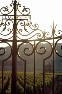 Côte de Nuits et Hautes côtes de Nuits in Burgundy / Bourgogne 