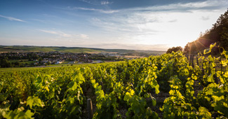 You want to know more about Climats and lieux-dits de Bourgogne ? You want to know more about Climats and lieux-dits de Bourgogne ?