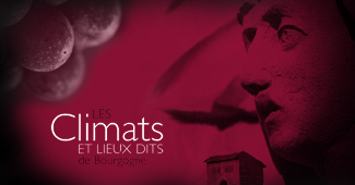 You want to know more about Climats and lieux-dits de Bourgogne ? You want to know more about Climats and lieux-dits de Bourgogne ?