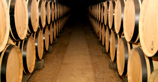 How do the grapes become wine? How do the grapes become wine?