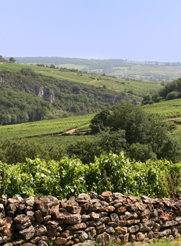 Lieux rencontres bourgogne