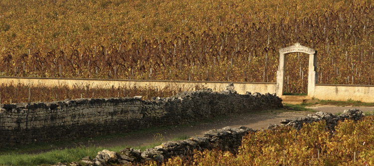 Lieux rencontres bourgogne