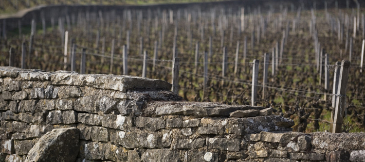 Lieux rencontres bourgogne