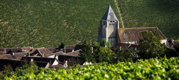 © BIVB / IBANEZ A Visits to typical Burgundy villages