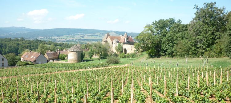 The 2005 vintage - An exceptional year in Bourgogne