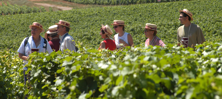 © BIVB / MONNIER H Discovery tours in the vineyards