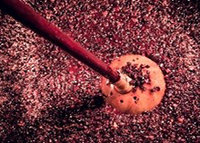Pigeage du raisin en Bourgogne