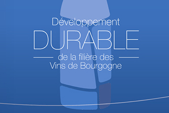 Sustainable development in the Bourgogne wine industry