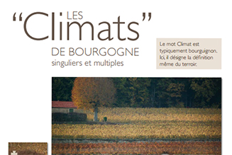 A poster of the unique and varied Climats of the Bourgogne winegrowing region