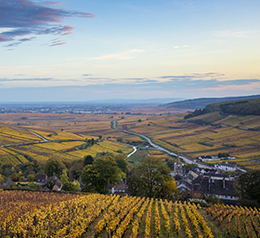 Landscape in the vineyard of Côte de Beaune  - © BIVB / Aurélien Ibanez