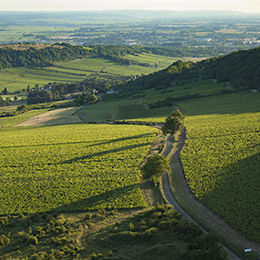 Landscape in the vineyard of the Côte de Chalonnaise - © BIVB / Aurélien Ibanez