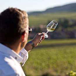 Tasting in the vineyard  - © BIVB / www.armellephotographe.com