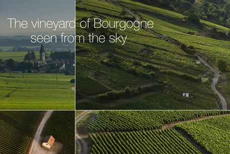 The vineyard of Bourgogne seen from the sky