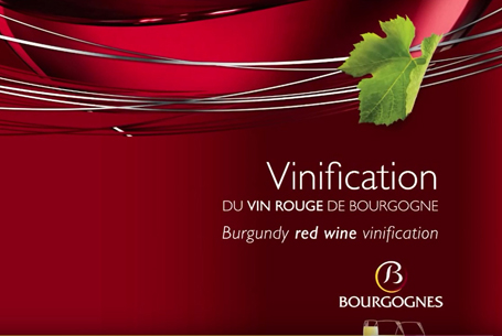 Vinification of red Bourgogne wines