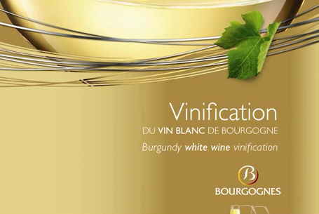 Vinification of White Bourgogne wines