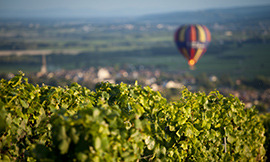 © BIVB / Aurélien Ibanez - “Bourgogne Wines on Tour” in the UK, in partnership with The Drinks Business