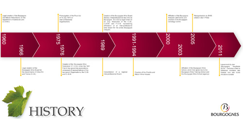 Bourgogne Wine Board History
