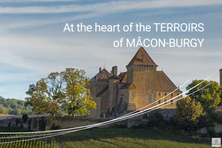 heart of the terroirs of Mâcon Burgy