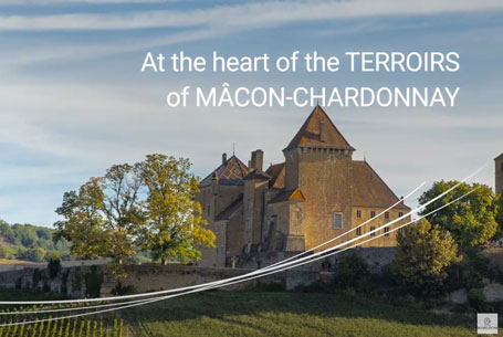 heart of the terroirs of Mâcon Chardonnay