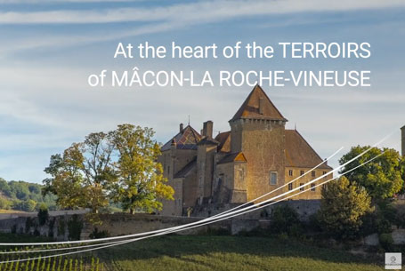 heart of the terroirs of Mâcon La Roche Vineuse