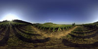Wine tourism_Burgundy_applying_for_Vignobles_et_Decouvertes_label