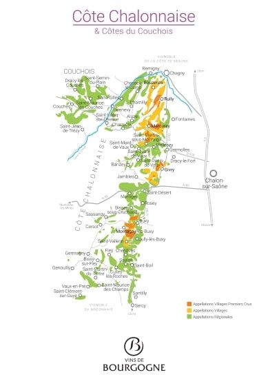 Wine Map of France (collector) – La Carte des Vins s'il vous plaît