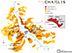 CHABLIS CLIMATS MAP 21 X 29,7 CM