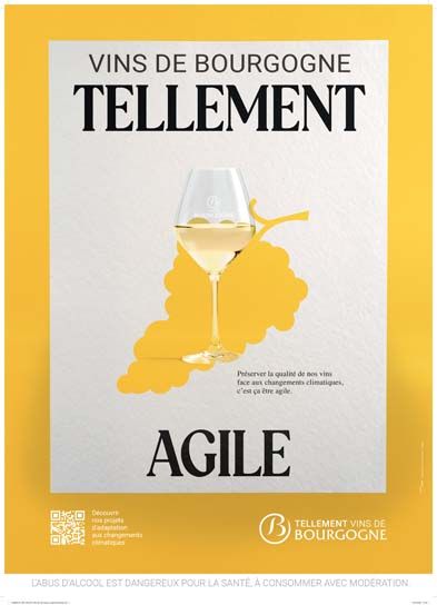 TELLEMENT AGILE POSTER