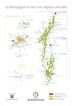 MAP OF BOURGOGNE VINEYARDS 40 X 60CM