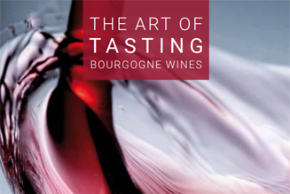 The art of wine tasting in Bourgogne