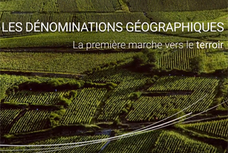 Vidéo sur les appellation Bourgogne et Mâcon