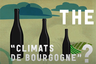What are the "Climats de Bourgogne" ?