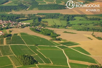 Vignoble de Bourgogne à Chablis