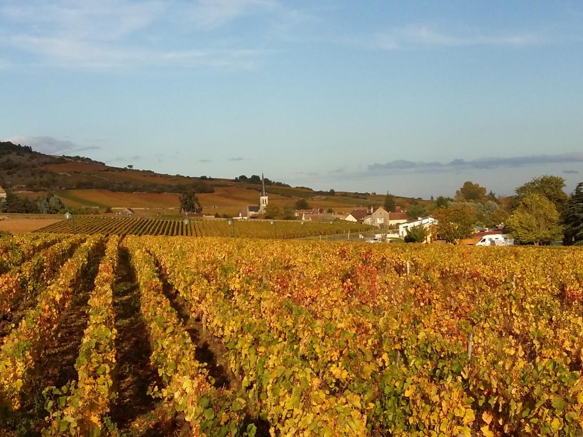 le village l'arrière du domaine cave de réception