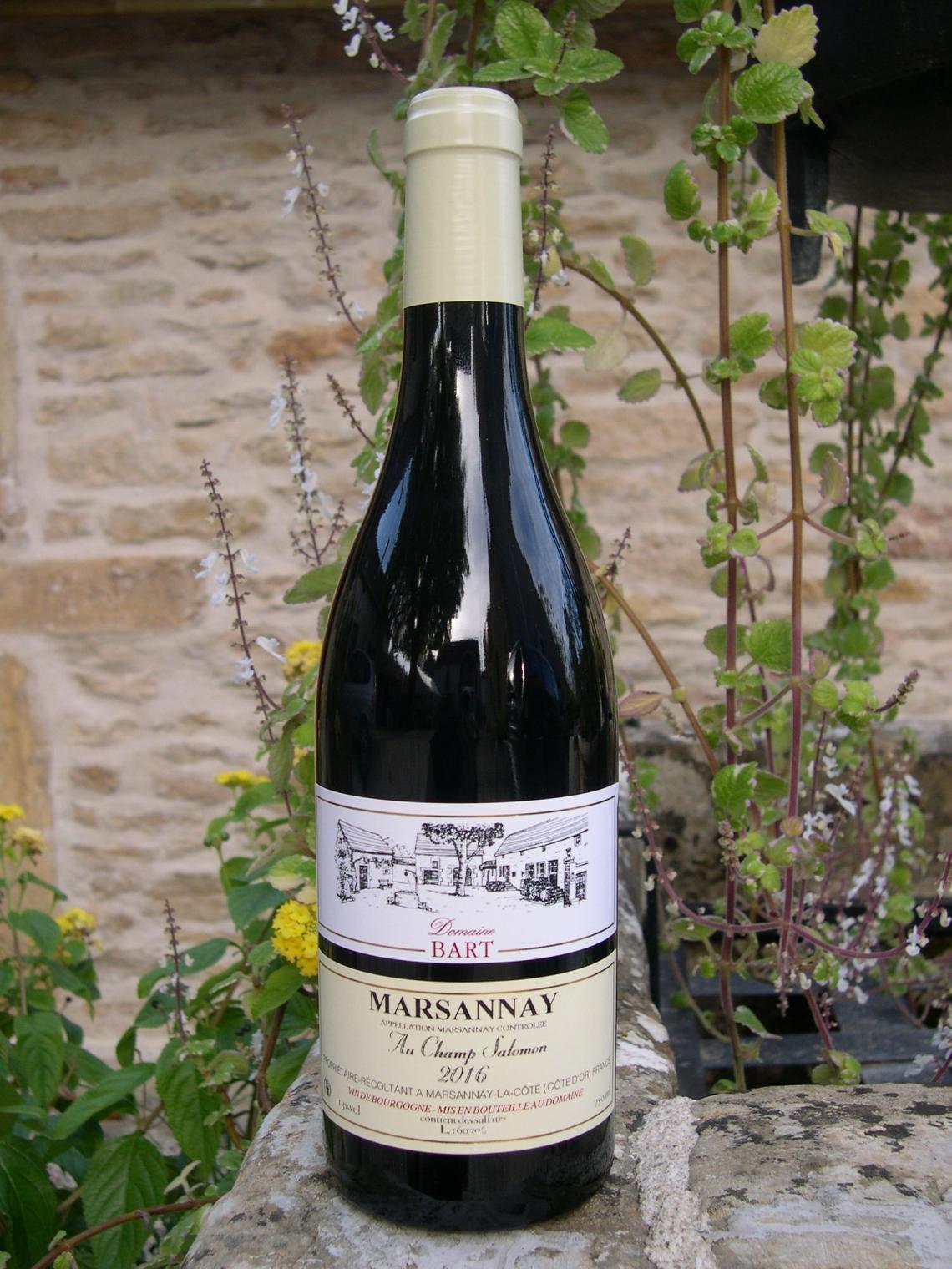 komplet ørn skør Domaine Bart, french Viticulteur in MARSANNAY-LA-COTE - Bourgogne wines