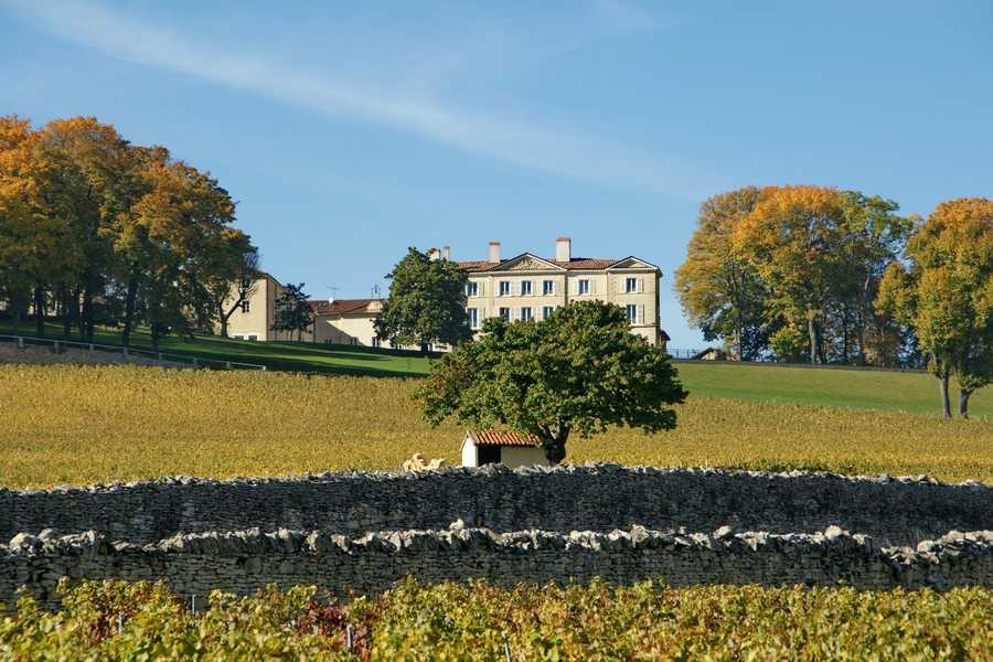 Château de Lachassagne, french Viticulteur in LACHASSAGNE Bourgogne wines