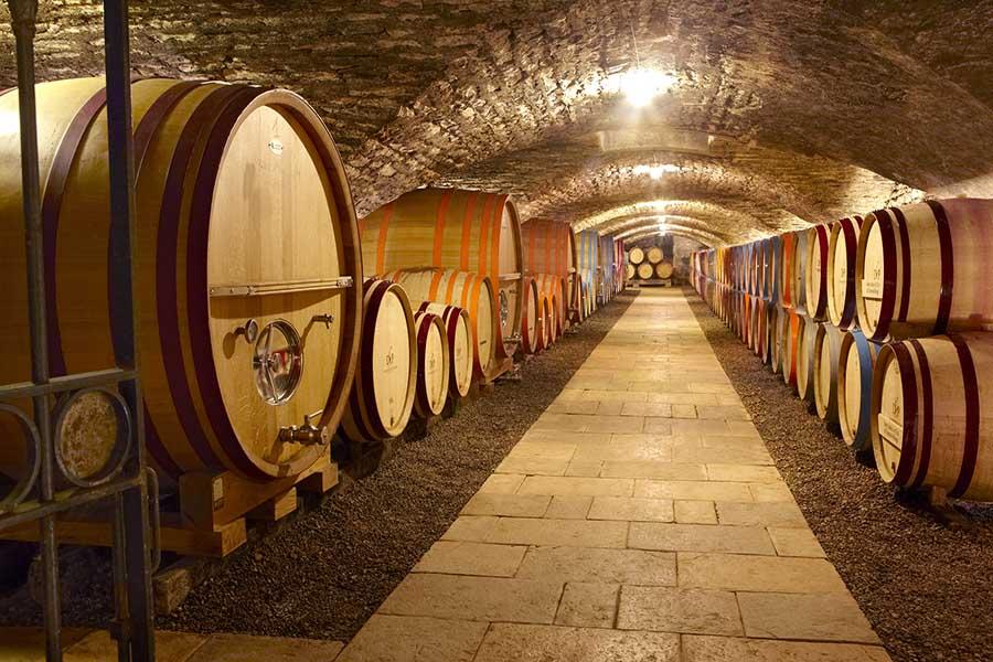 Caves du Château de Chassagne Famille Picard - Chassagne Montrachet