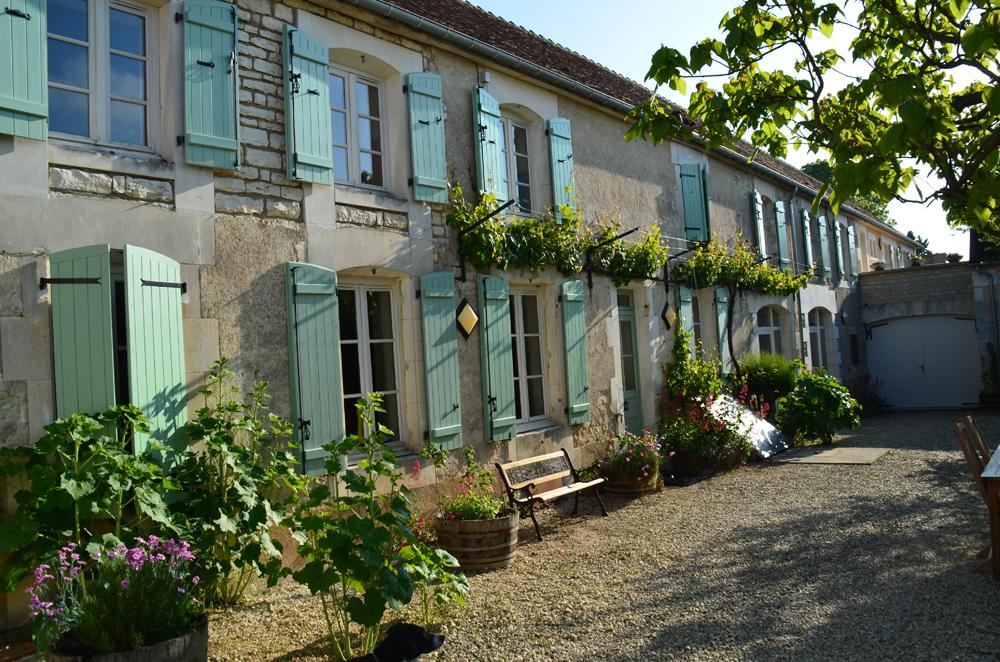 maison vigne IMG_2501