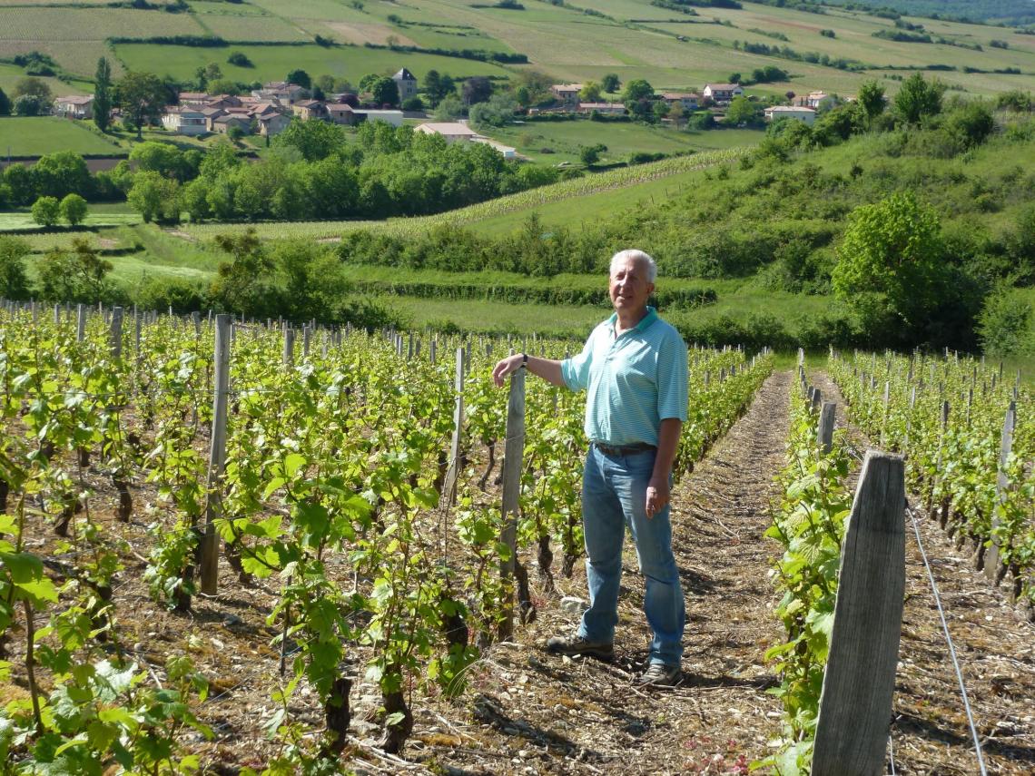 chanaux3 Domaine de la Jobeline 1 Domaine de la Jobeline 2