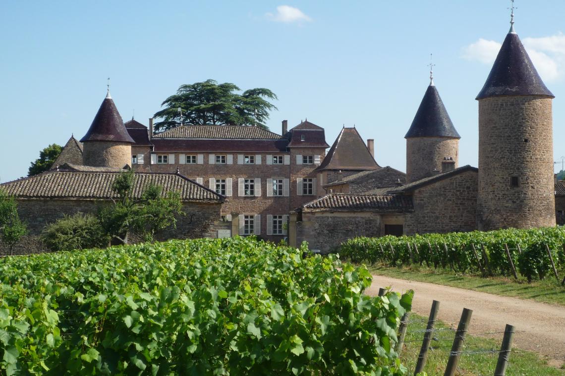 Le Clos du Chateau IMG_0352-(002) Visite des caves