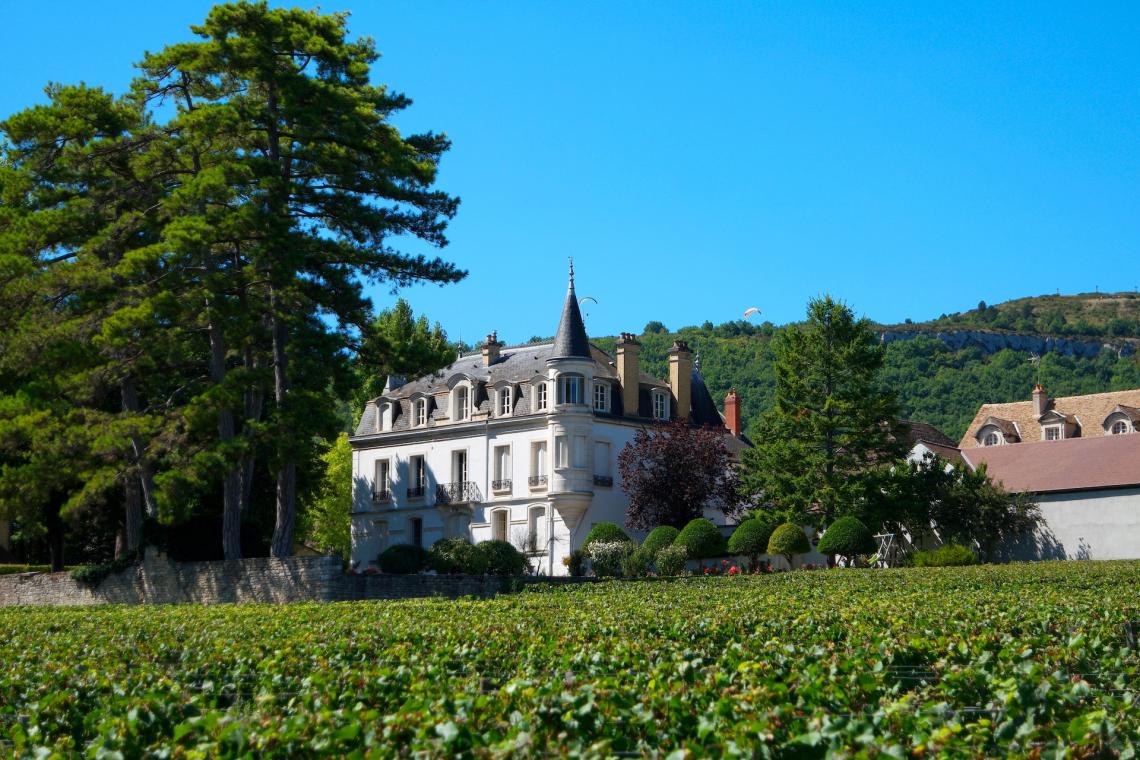 Domaine Chapelle Winter is coming...