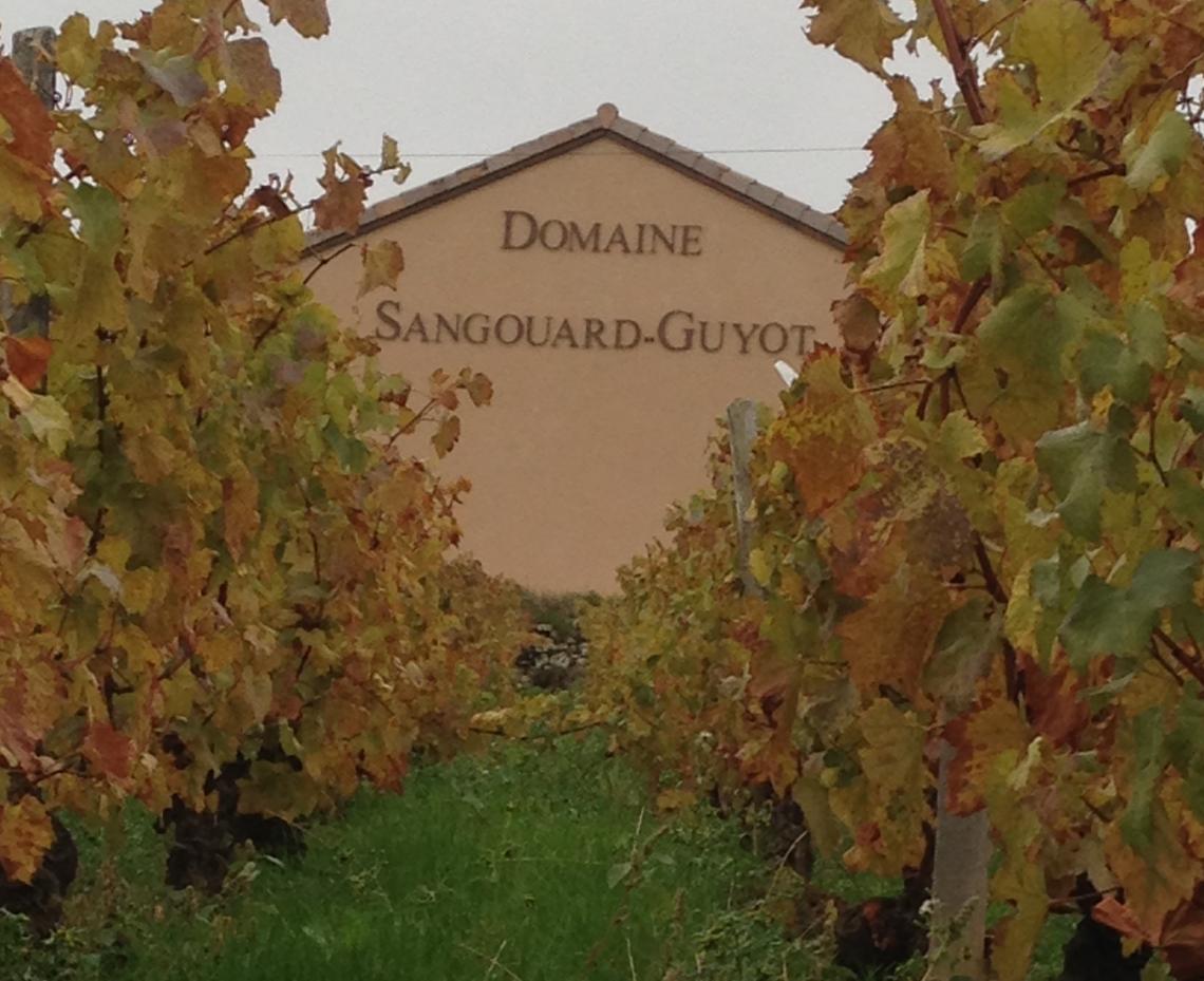 Domaine Sangouard-Guyot Domaine Sangouard-Guyot