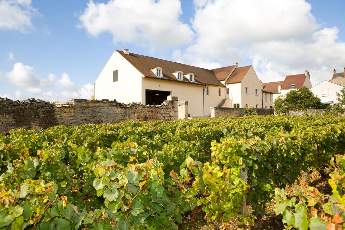 Domaine Boyer-Martenot Yves, french Viticulteur in MEURSAULT - Bourgogne  wines