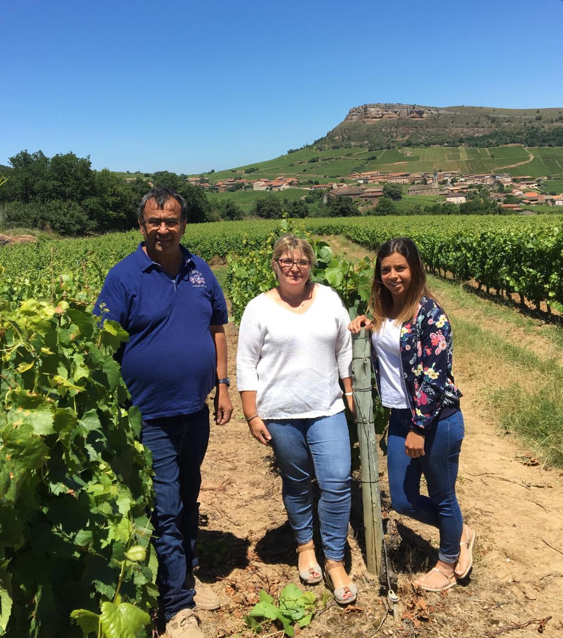 Domaine Guerrin Gilles