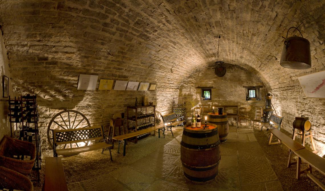 Le caveau de dégustation Philippe Bernard dans la cave Visite dans les vignes avec P. Bernard
