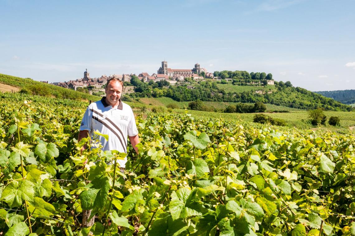 Vigneron dans les vignes DomaineEypert_Visuel2 DomaineEypert_Visuel3